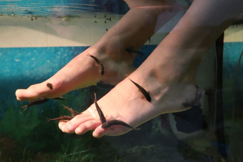 Санаторий "Приднепровский"